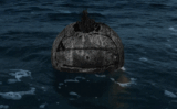 450 anos no oceano: a Odisseia de Wilson